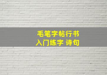 毛笔字帖行书入门练字 诗句